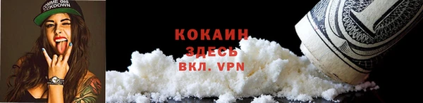 индика Братск