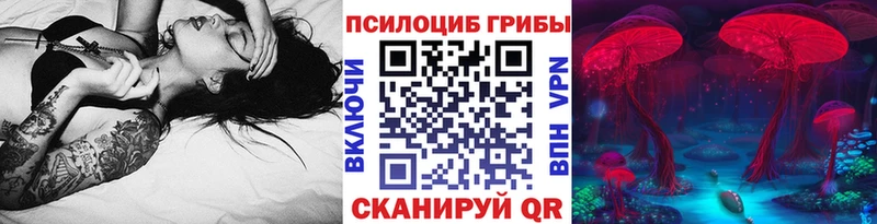 Псилоцибиновые грибы Psilocybine cubensis  купить наркоту  Верхний Тагил 